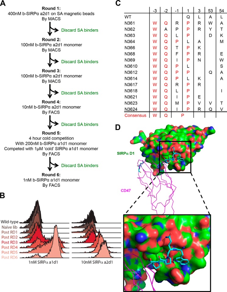 FIGURE 4.