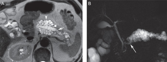 Fig. 8