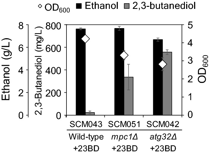 Fig. 4