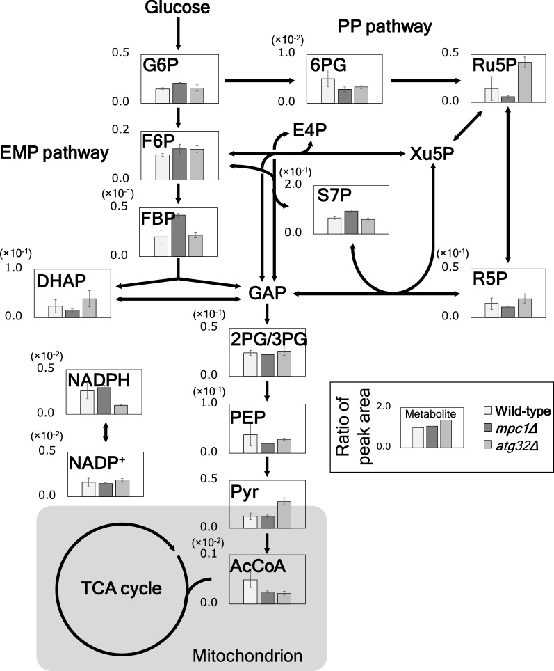 Fig. 3