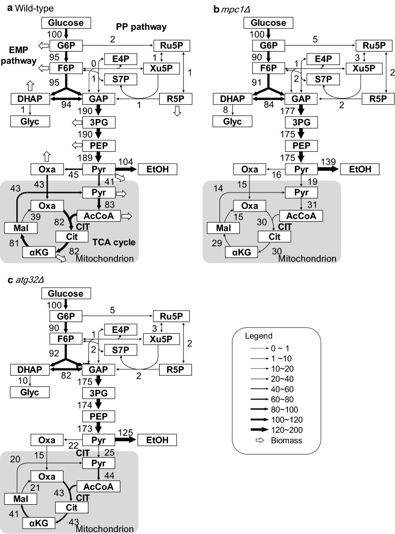 Fig. 2