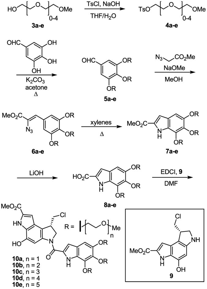 Scheme 1