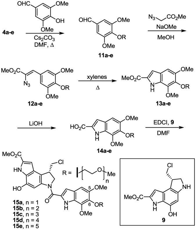 Scheme 2