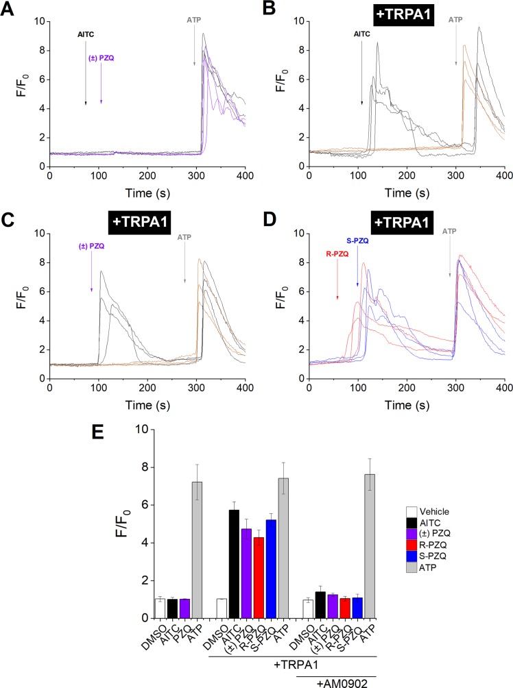 Fig 6