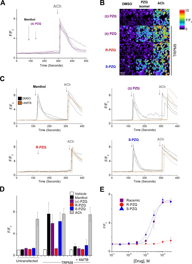 Fig 4