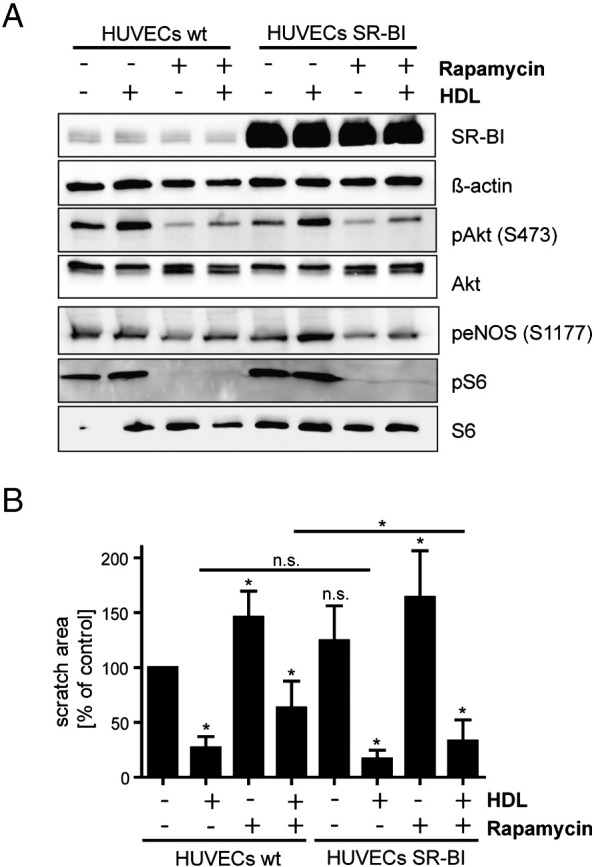 Fig. 7