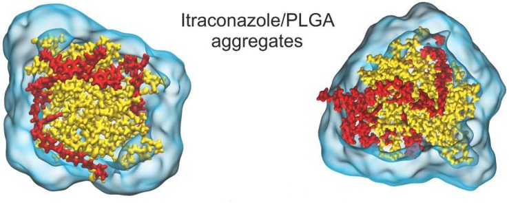 FIGURE 13