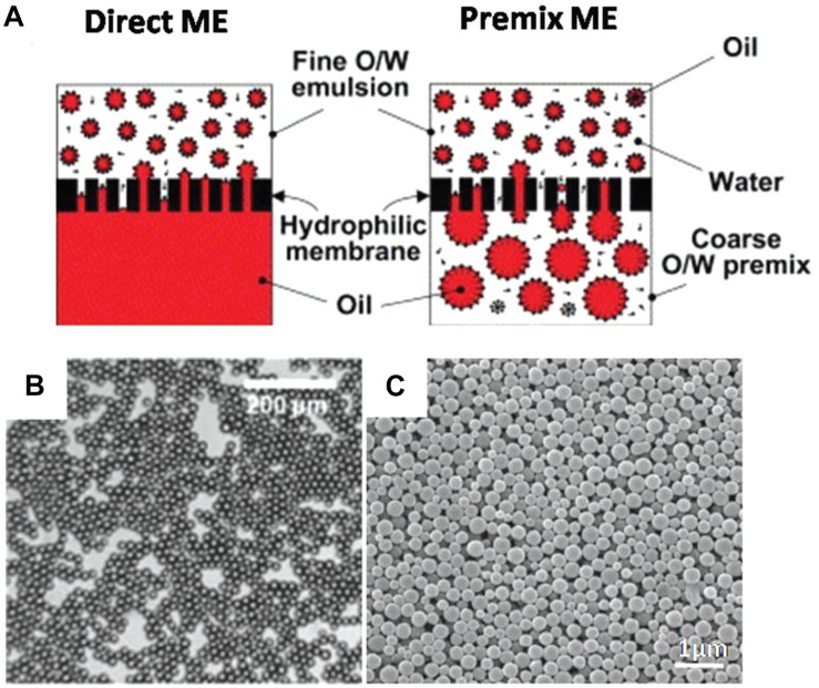 FIGURE 9