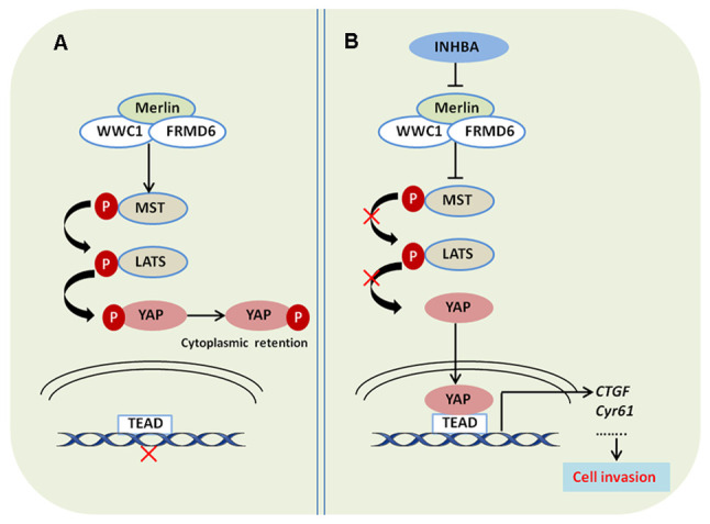 Figure 7.