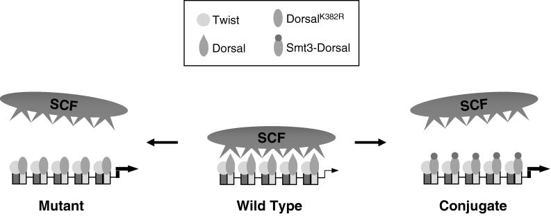 FIG. 8.