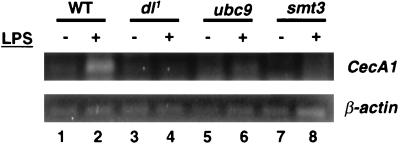 FIG. 7.