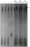 FIG. 5.