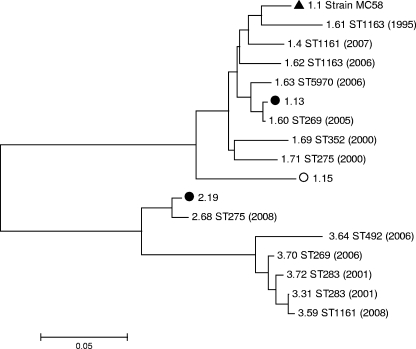 FIG. 2.