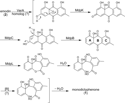 FIG. 6.