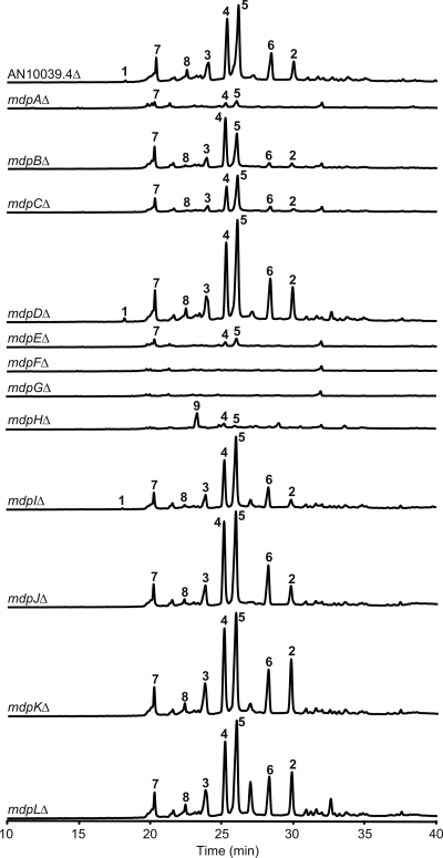 FIG. 3.