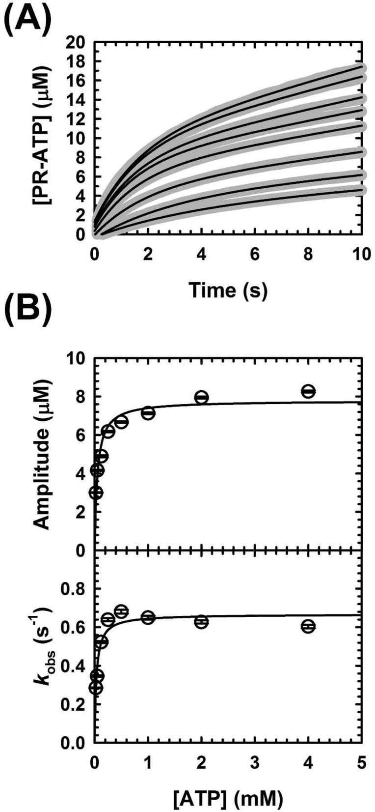 Figure 8