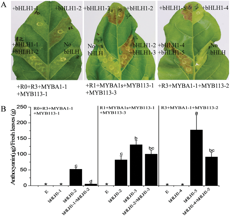 Fig. 10.