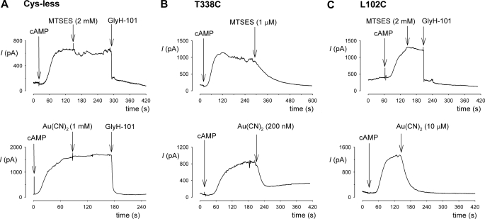 FIGURE 3.