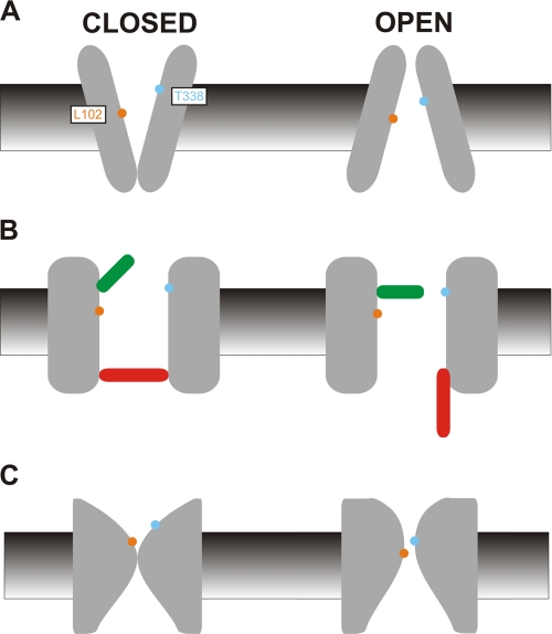 FIGURE 7.