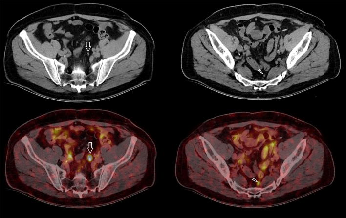 Fig. 3