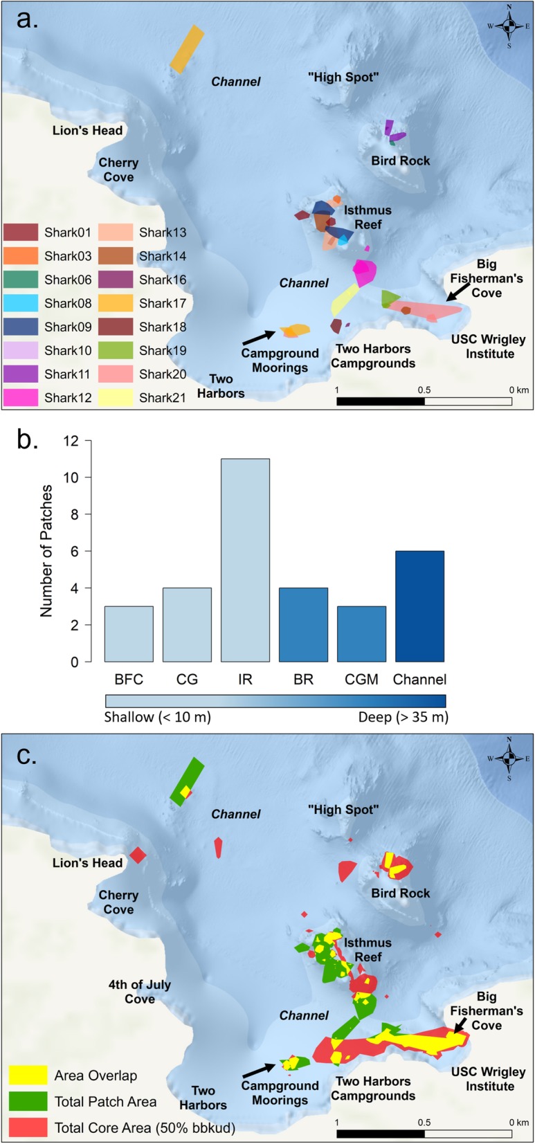 Fig. 3