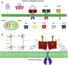 Figure 4