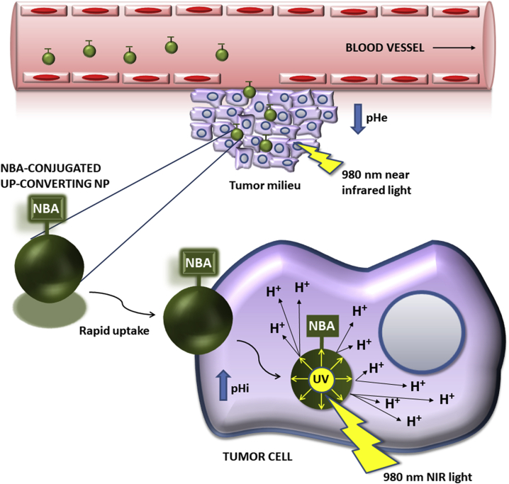 Figure 6