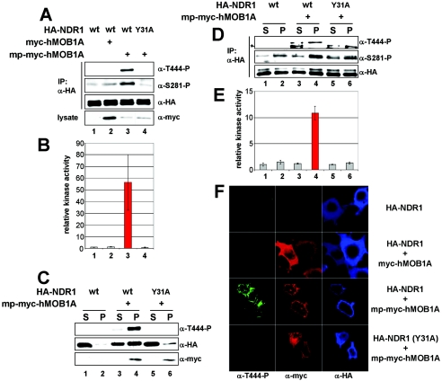 FIG. 6.