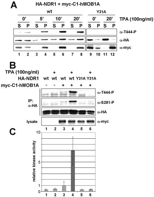 FIG. 8.