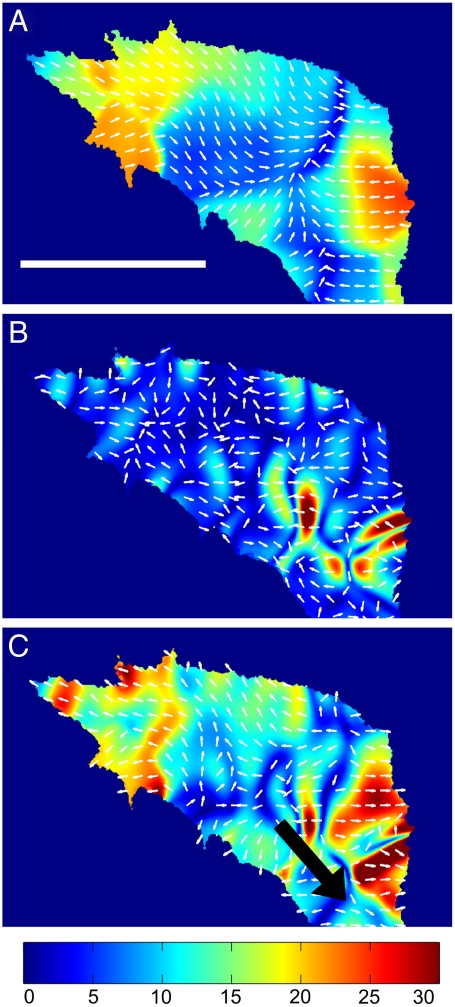 Fig. 3.