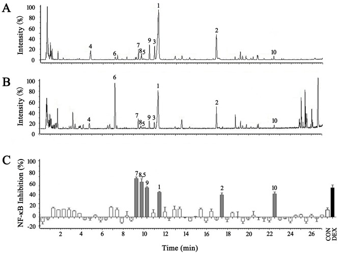 Figure 5