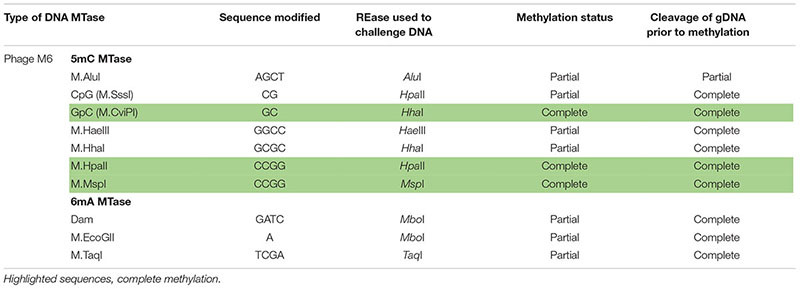 graphic file with name fmicb-10-00584-t003.jpg