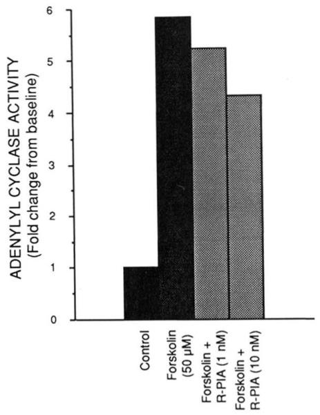 FIG. 5