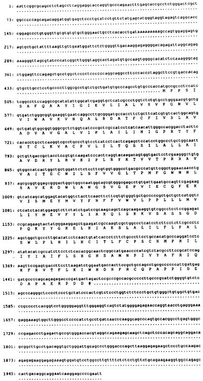 FIG. 1