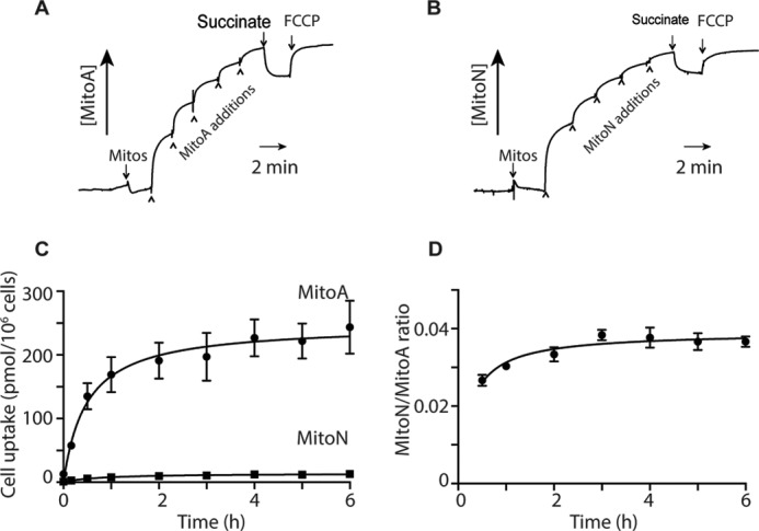 Figure 5.