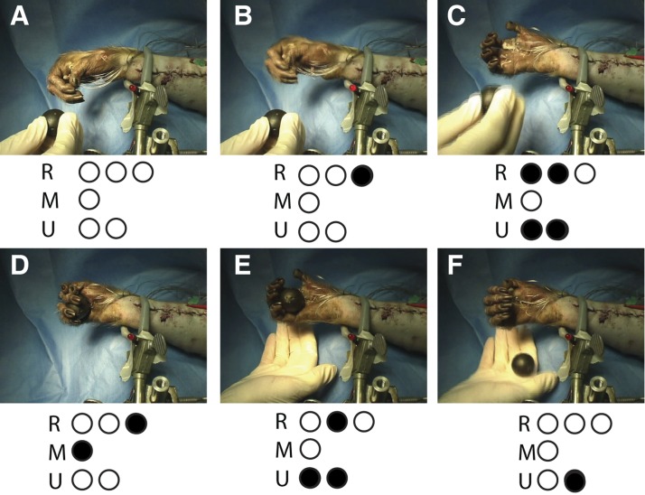 Fig. 6.