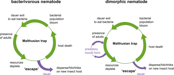 Figure 6