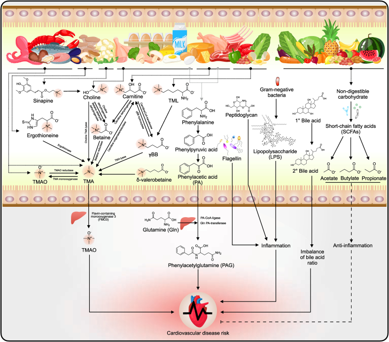 Fig. 2