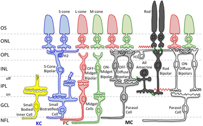 FIGURE 2