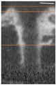 graphic file with name nanomaterials-07-00145-i003.jpg