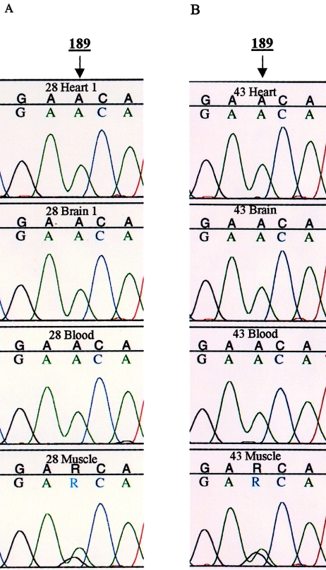 Figure  3