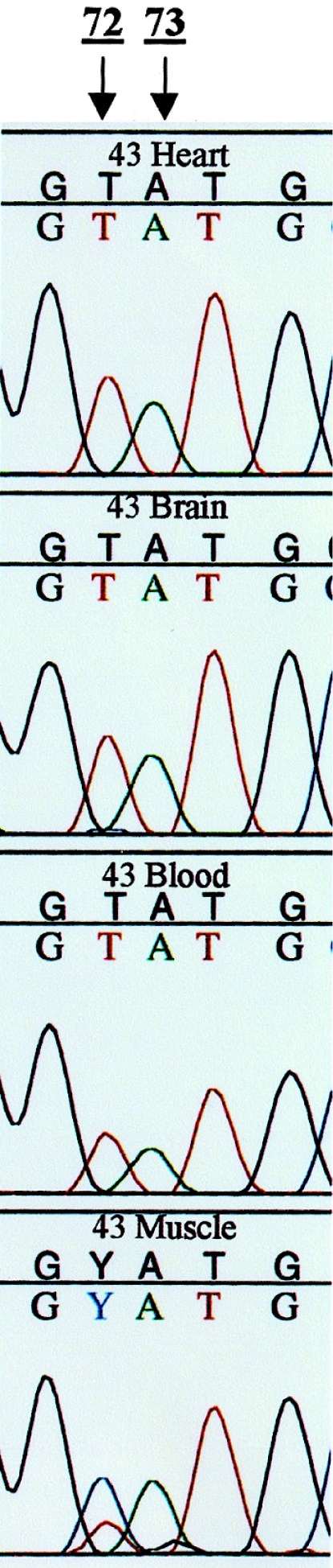 Figure  2