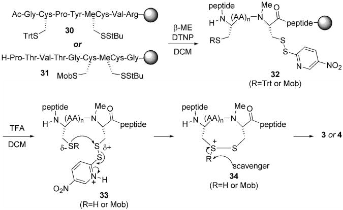 Scheme 2