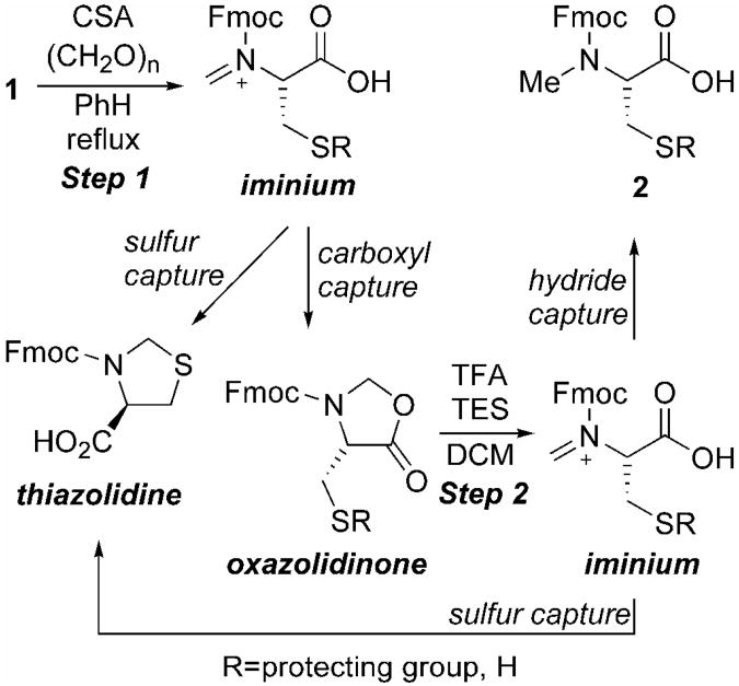 Scheme 1