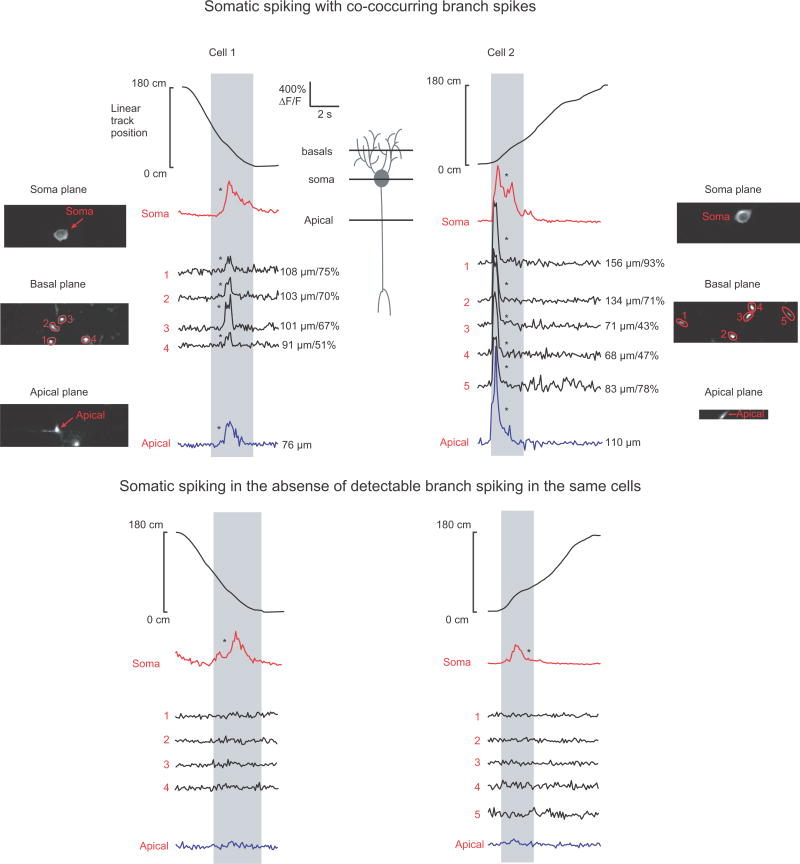 Extended Data Figure 6