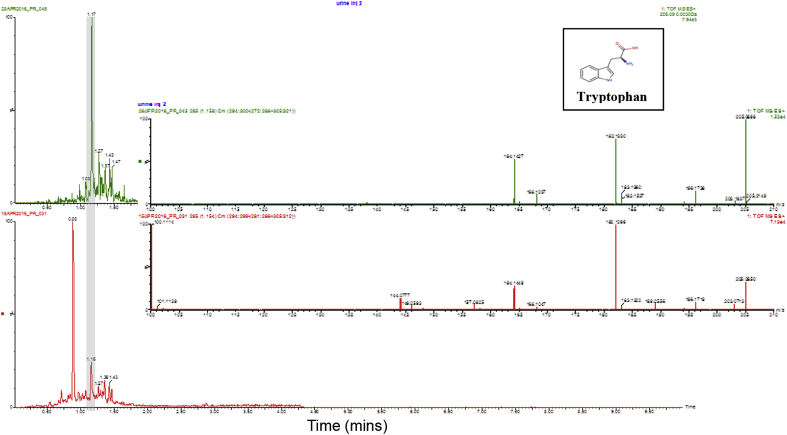 Fig. 4