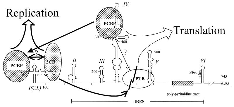 FIG. 6.