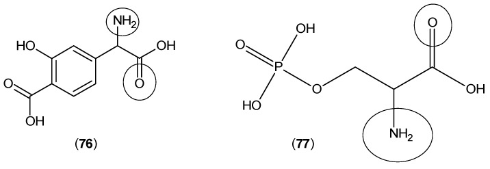 Figure 20