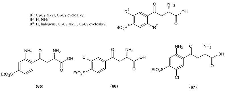 Figure 13