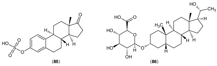 Figure 24